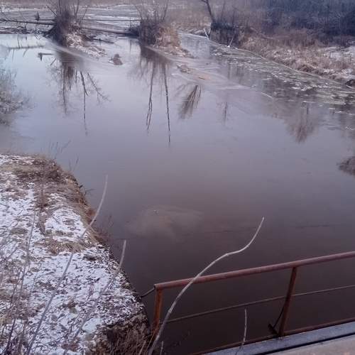 Photo #13299993