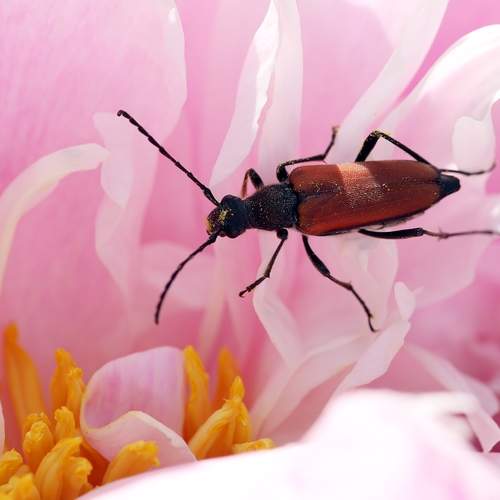 Photo #13300152