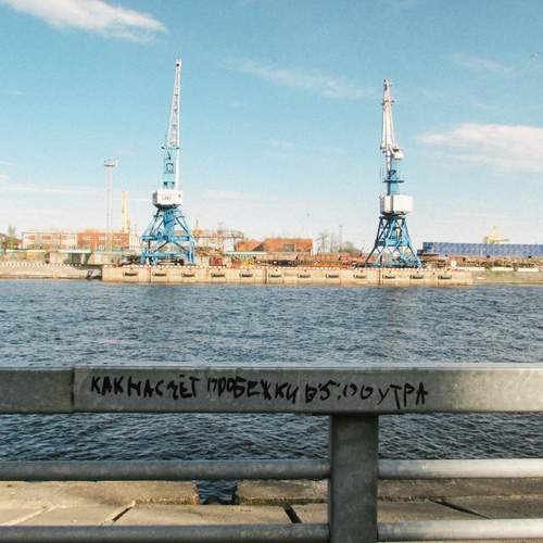 Photo #13300272