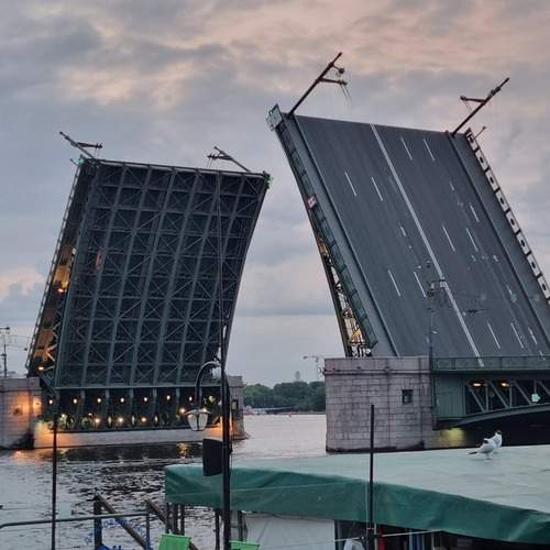 Photo #13300283