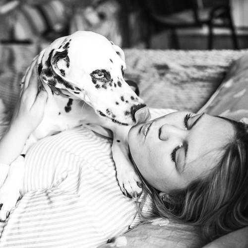 Photo #13300339