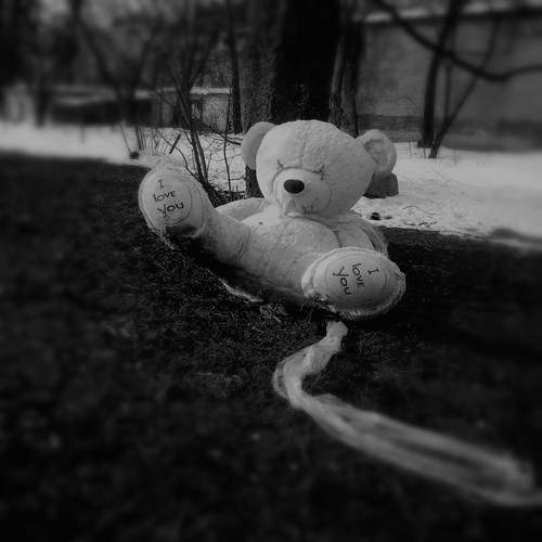 Photo #13300423