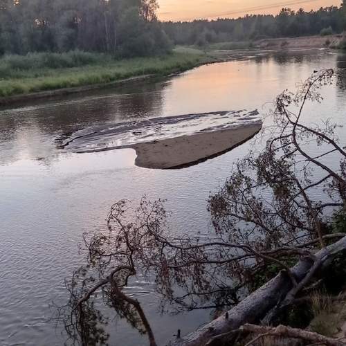 Photo #13300436