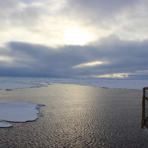 Photo #13300583