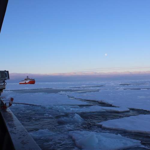 Photo #13300638