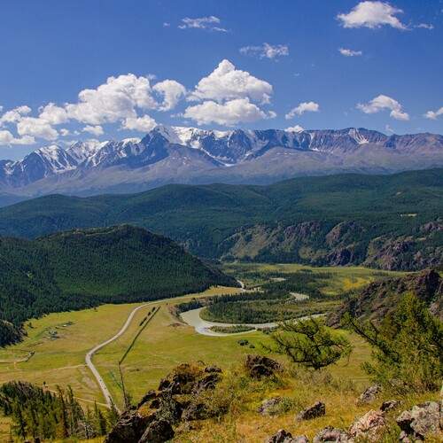 Photo #13300663