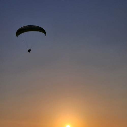Photo #13300828
