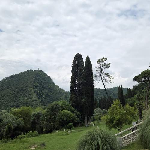 Photo #13300869