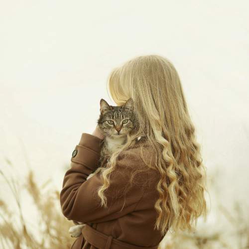 Photo #13300883