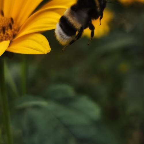 Photo #13300903
