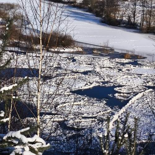 Photo #13300924