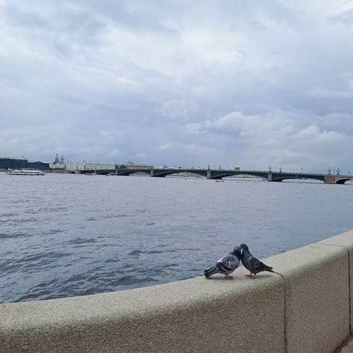 Photo #13301029