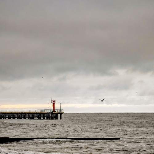 Photo #13301078