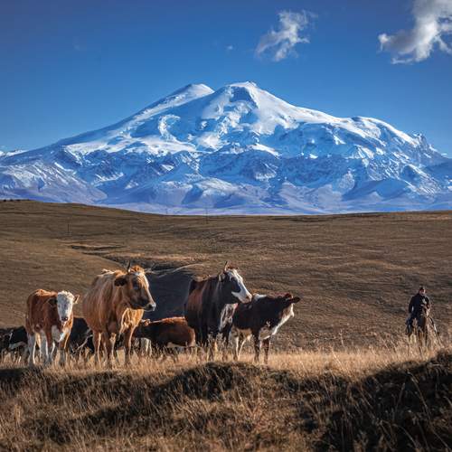 Фотография #13301190