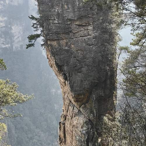 Photo #13301230