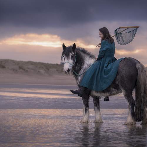 Photo #13301259