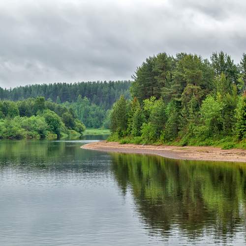 Photo #13301441