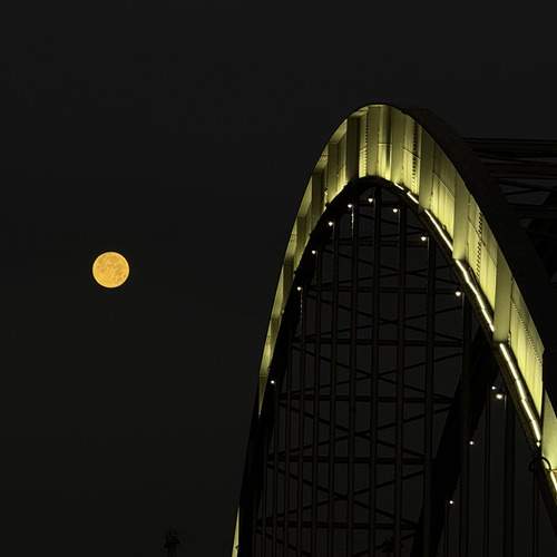 Photo #13301475
