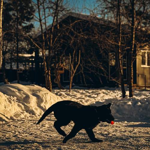 Photo #13301527