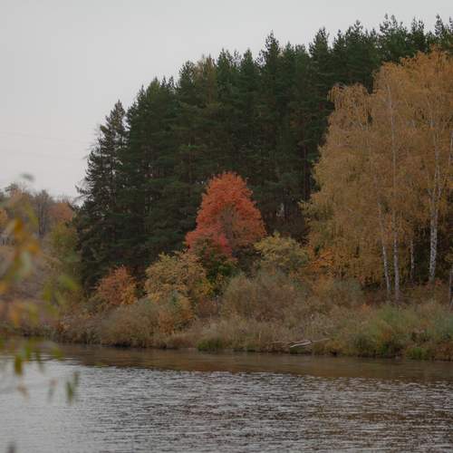 Photo #13301532