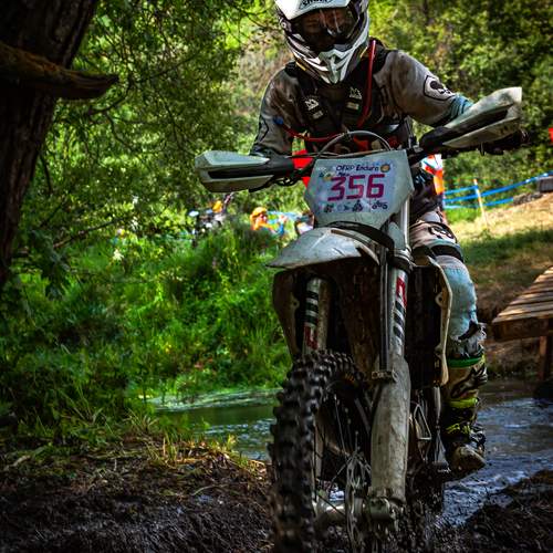 Photo #13301565