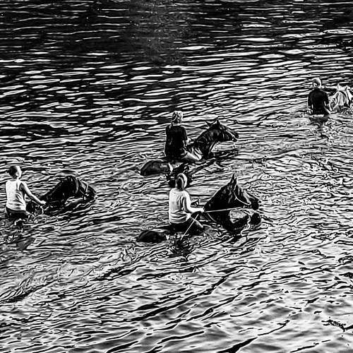 The Common Current