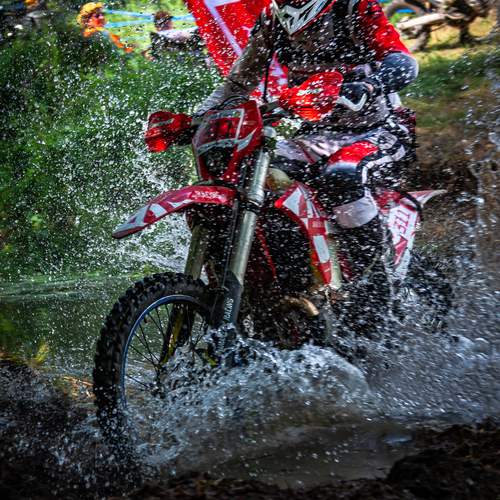 Photo #13301763