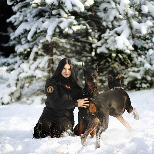 Photo #13301800