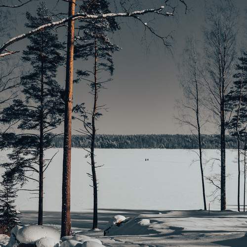 Photo #13301886