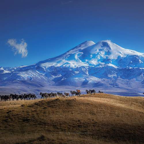 Фотография #13302009