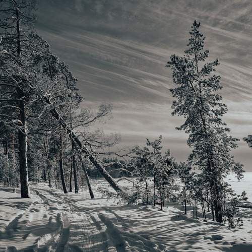 Photo #13302031