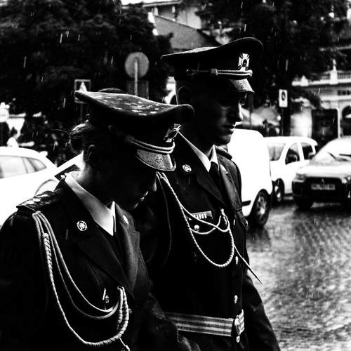Photo #13302085