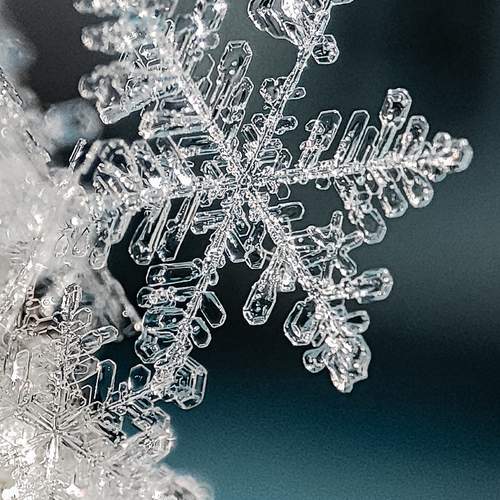 Photo #13302188