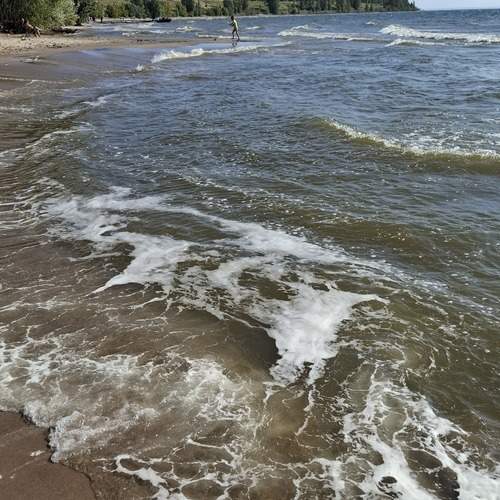 Photo #13302215