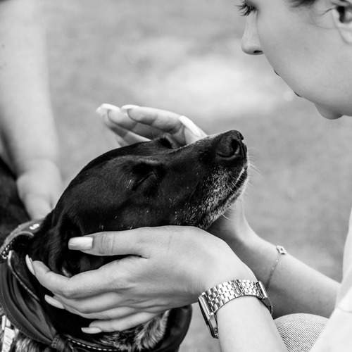 Photo #13302226