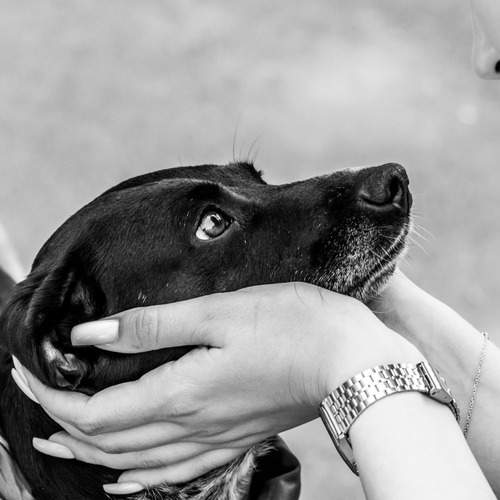 Photo #13302227