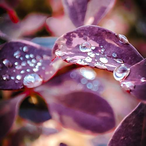 Photo #13302236