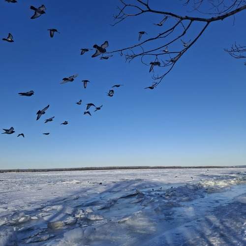 Photo #13302238