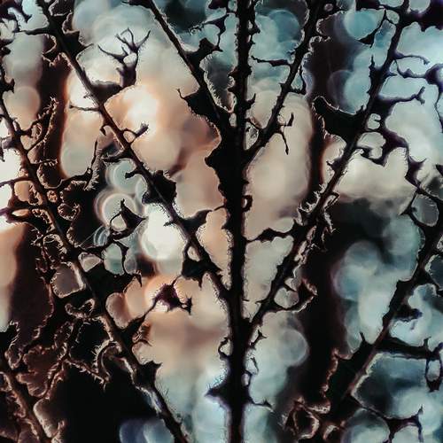 Photo #13302277