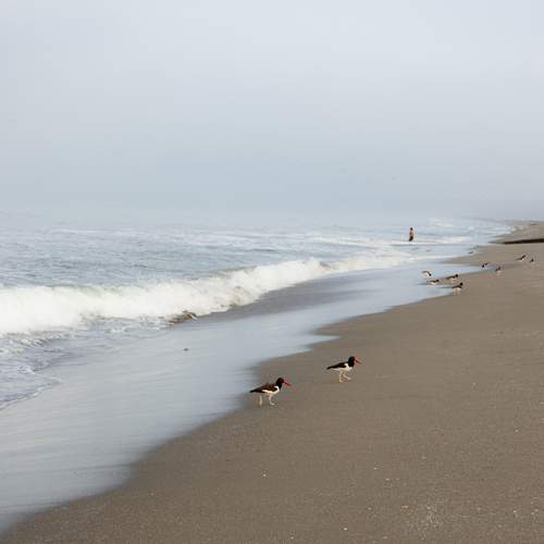 Photo #13302285