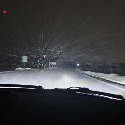 Photo #13302301