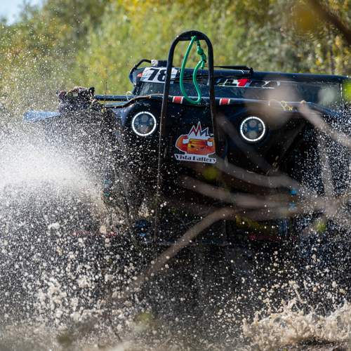 Photo #13302323