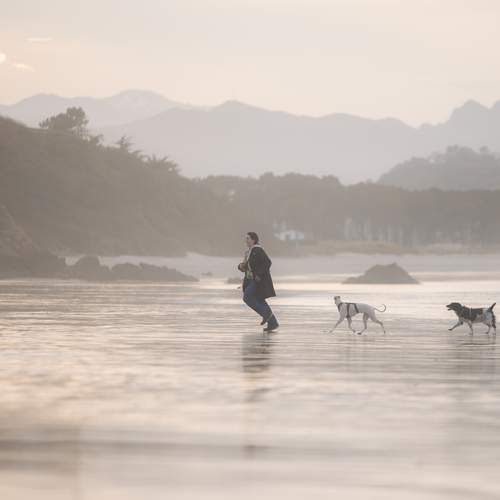 Photo #13302371