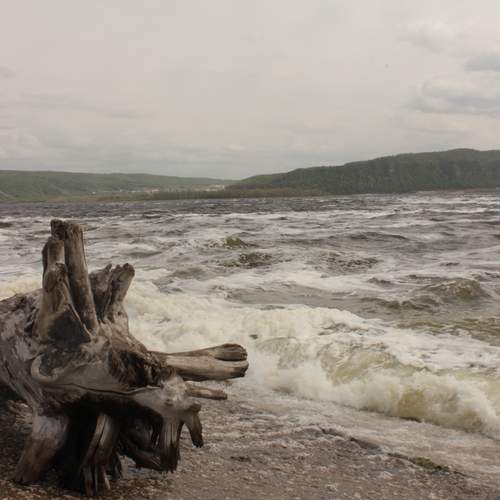 Photo #13302372