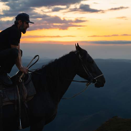 Photo #13302378