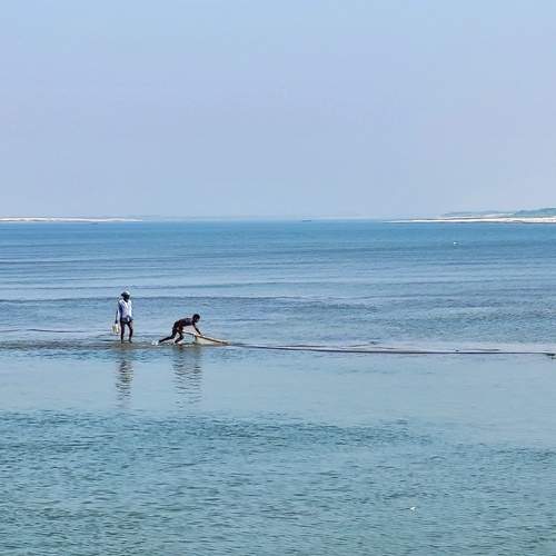 Photo #13302381