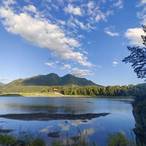 Photo #13302391