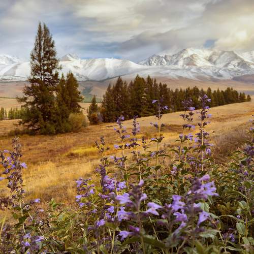 Фотография #13302428