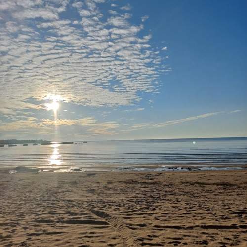 Photo #13302435