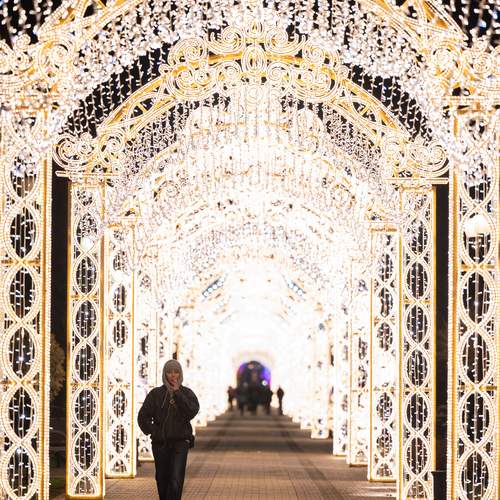 Photo #13302489